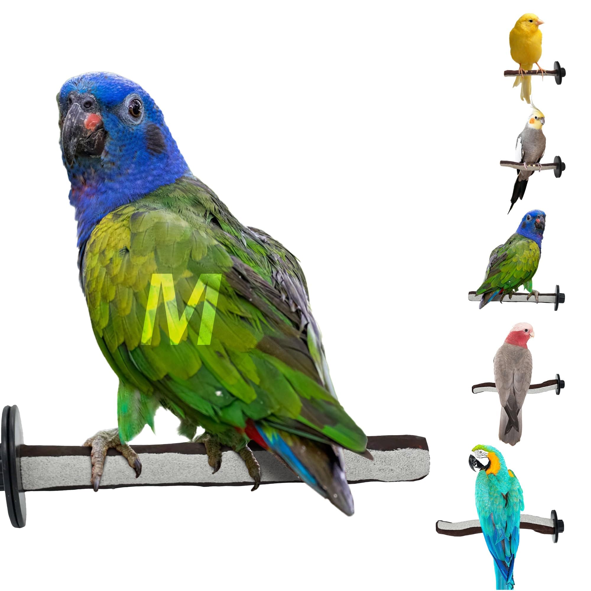 Superoost Manzanita Pumice Pedicure Perch