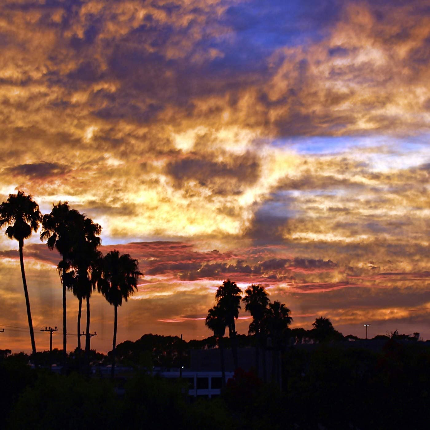 Want Me To (feat. Shanica Knowles)