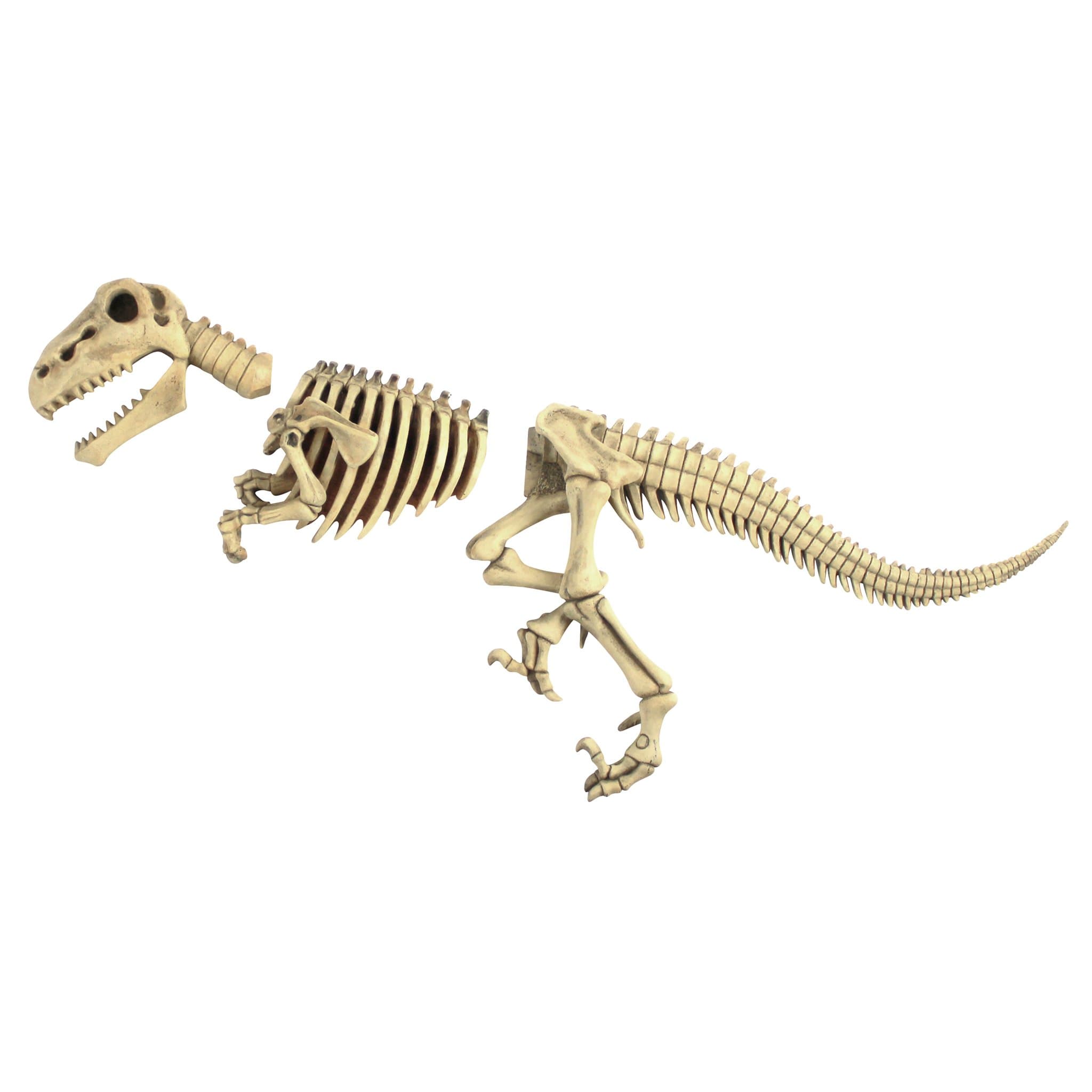 Design ToscanoDB383021 Raptor Skeleton Garden Sculpture,full color