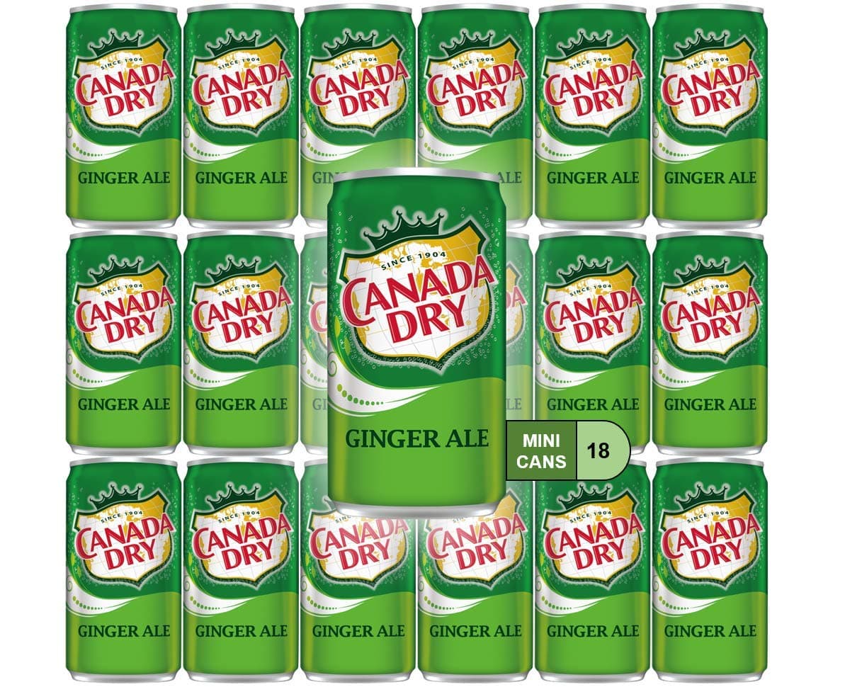 Ginger Ale Mini Soda Cans, 7.5 oz Soft Drinks Bulk Snacks Pack, Small Refrigerator & Snack Pantry Drink 18 Count Beverage Kitchen Supplies