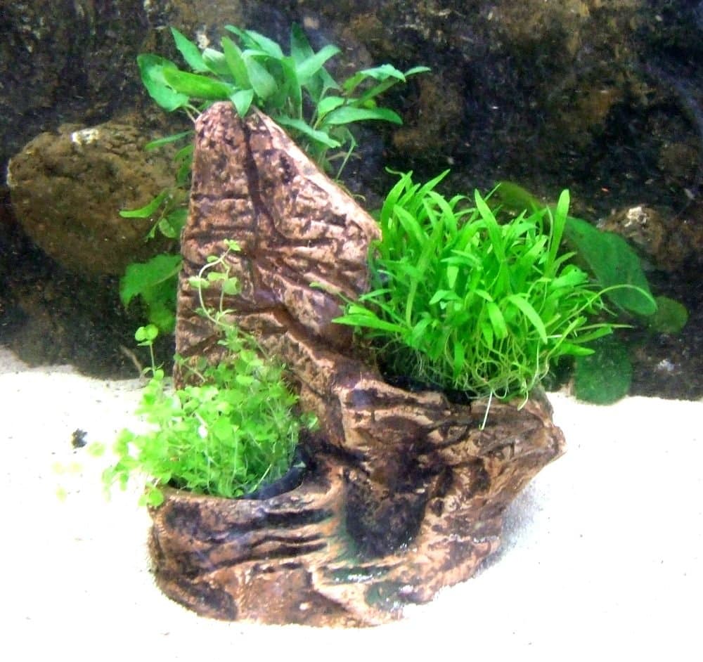 Triple aquarium Terrarium Plant Pot Planter Home Decorative Rocks Water Plants