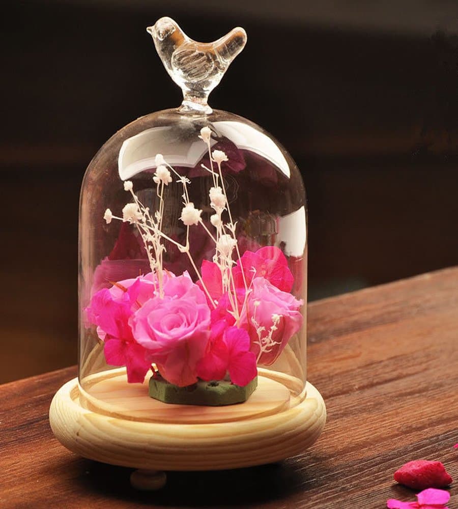 Glass Cloche Dome Cover Terrarium Container Miniature Display Bell Jar With Wooden Tray