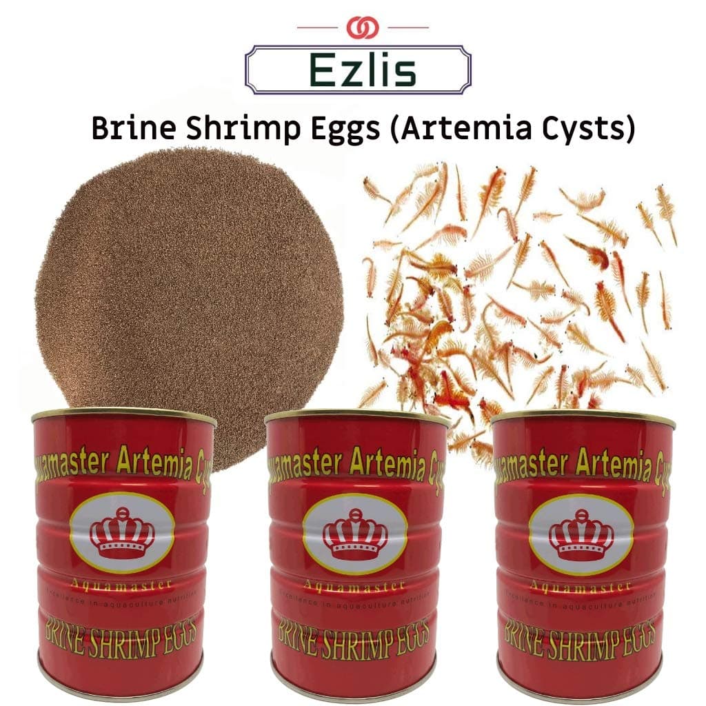 Brine Shrimp Eggs, Artemia Cysts 90% Hatch Rate Brine Shrimp Eggs, Baby Fish Food, Fry Foods and Reef Tanks, High-Protein Food Source for Live Freshwater, Saltwater Marine Fishes (10 Grams)