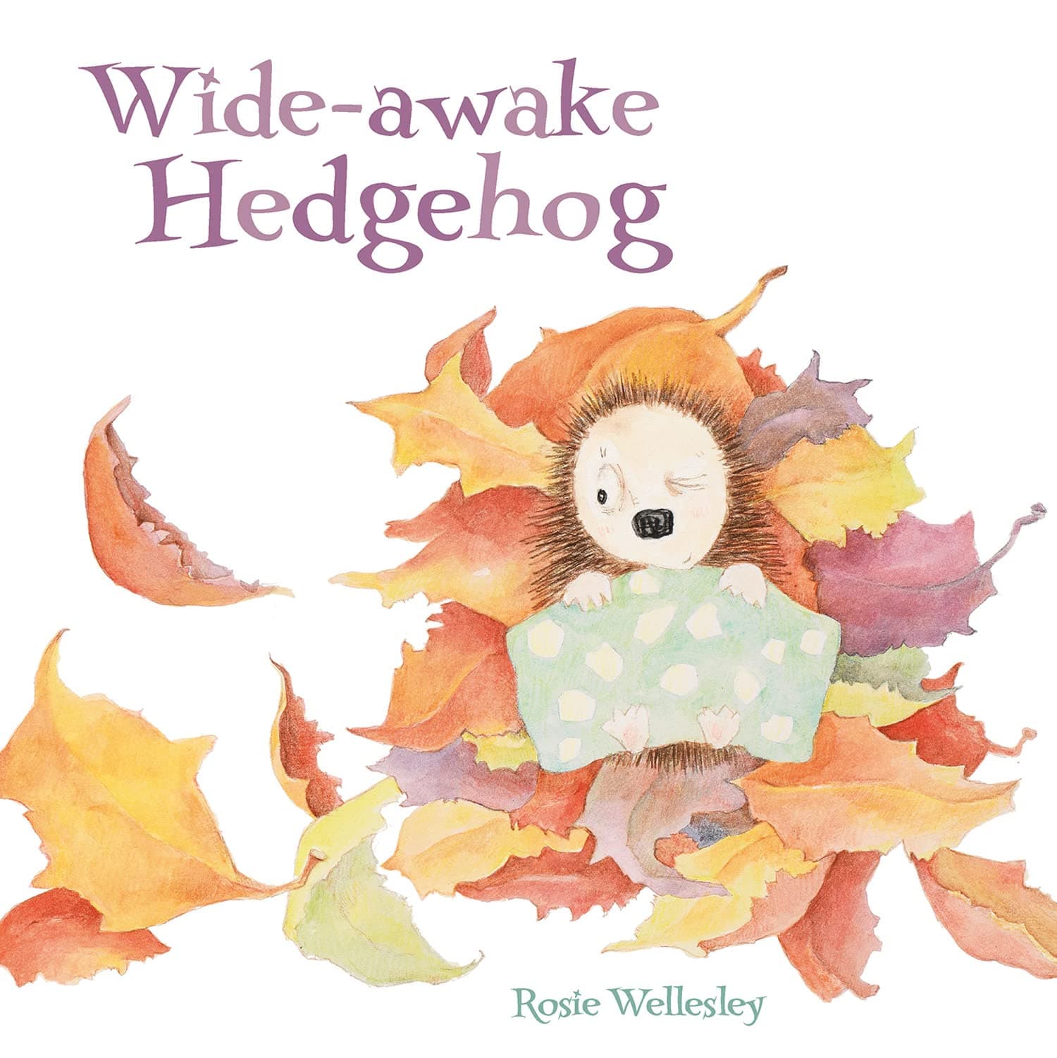 Wide-awake Hedgehog Paperback – Picture Book, 8 Sept. 2016