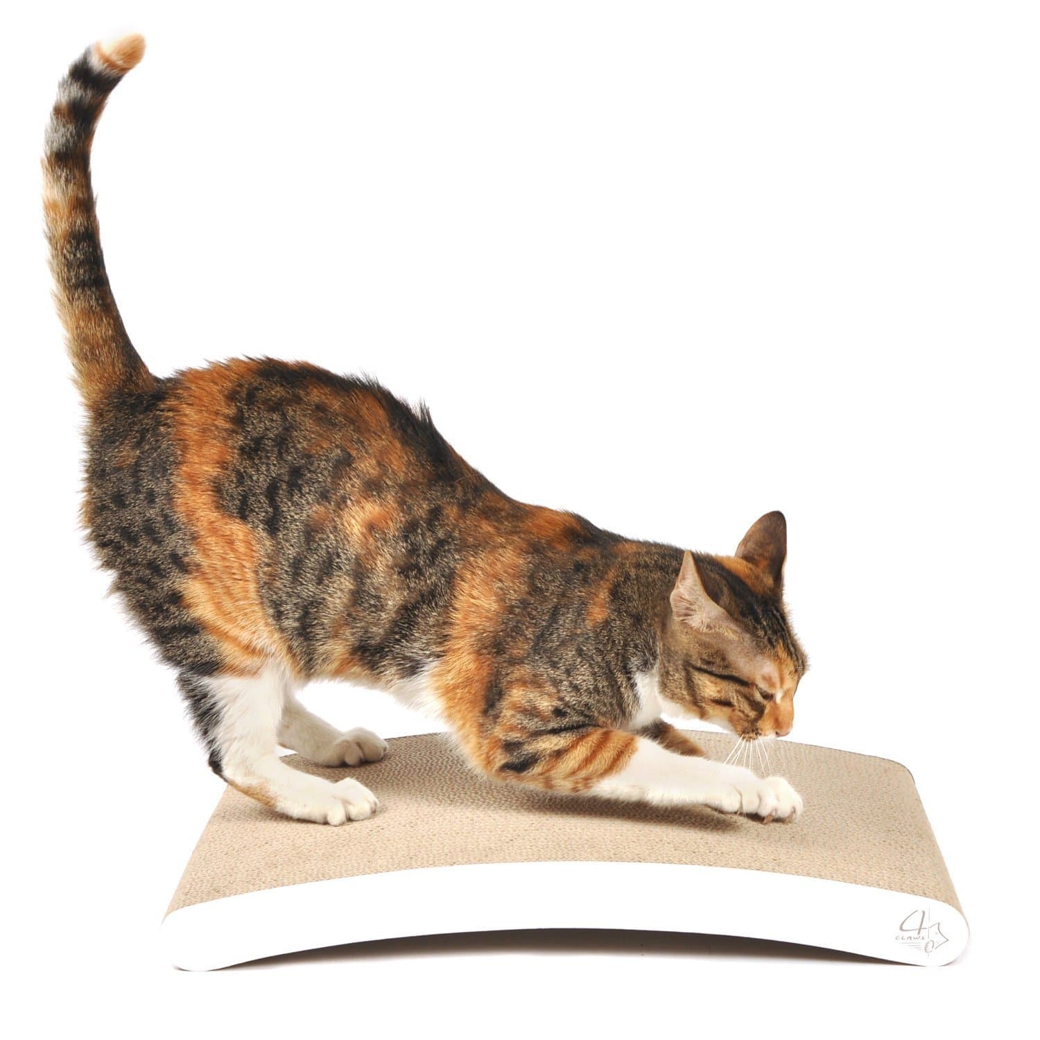 4CLAWS Curve Scratching Pad (White) - Basics Collection Cat Scratcher