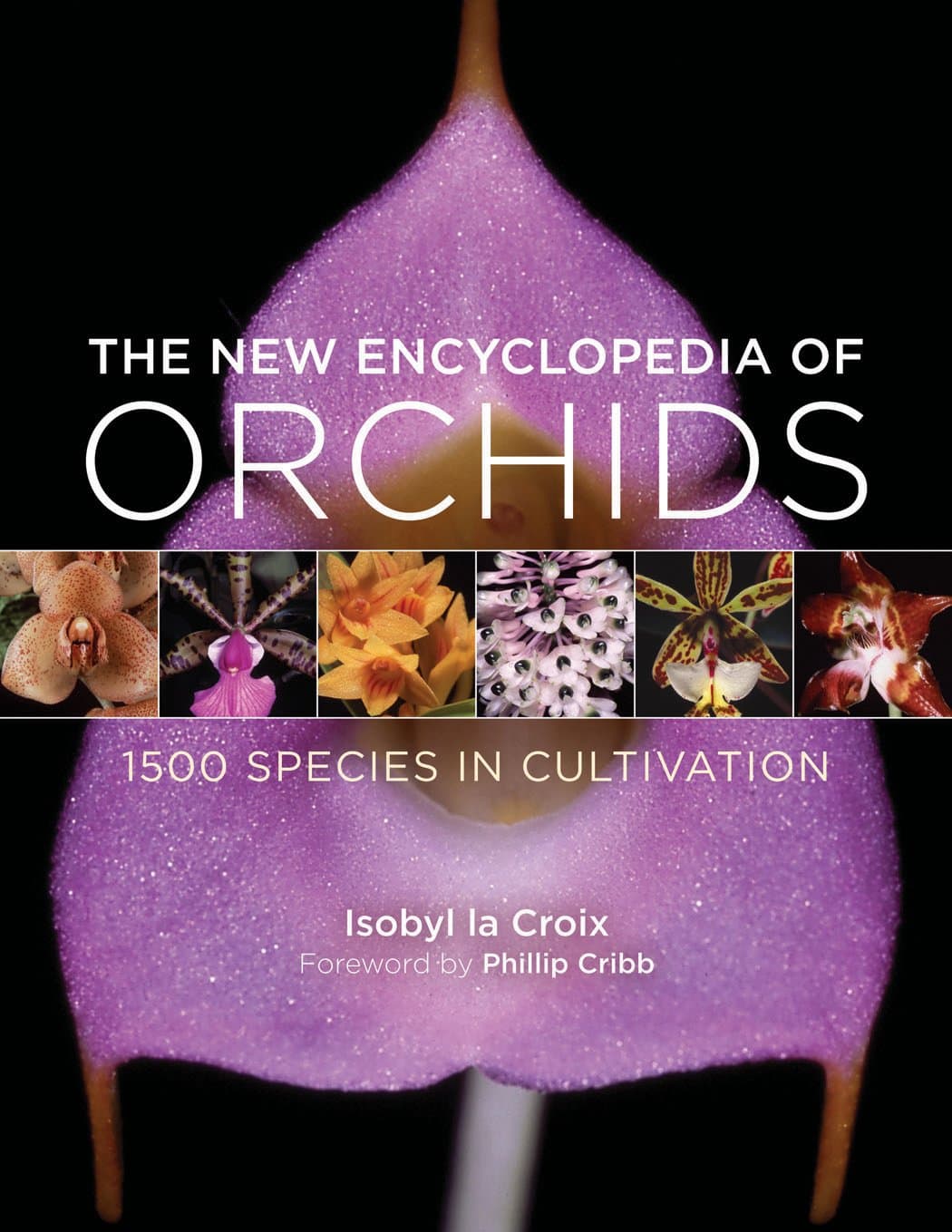 The New Encyclopedia of Orchids: 1500 Species in Cultivation Hardcover – 15 July 2008
