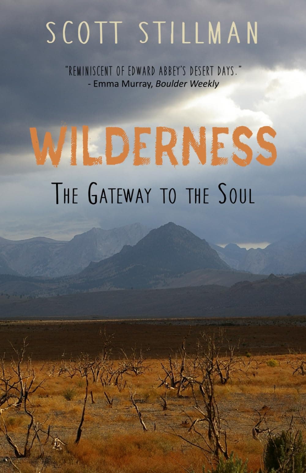 Wilderness, The Gateway To The Soul: Spiritual Enlightenment Through Wilderness: 1 (Nature Book) Paperback – Import, 15 July 2018