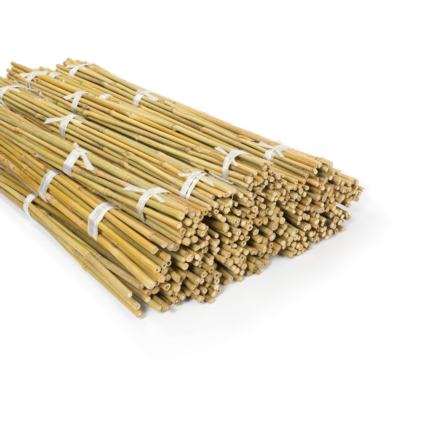 casa pura Bamboo Plant Supports - Bamboo Garden Stakes | Natural Bamboo canes for Plants, Vegetables, Tomatoes etc Bamboo Sticks | 60cm High | 20 Pieces