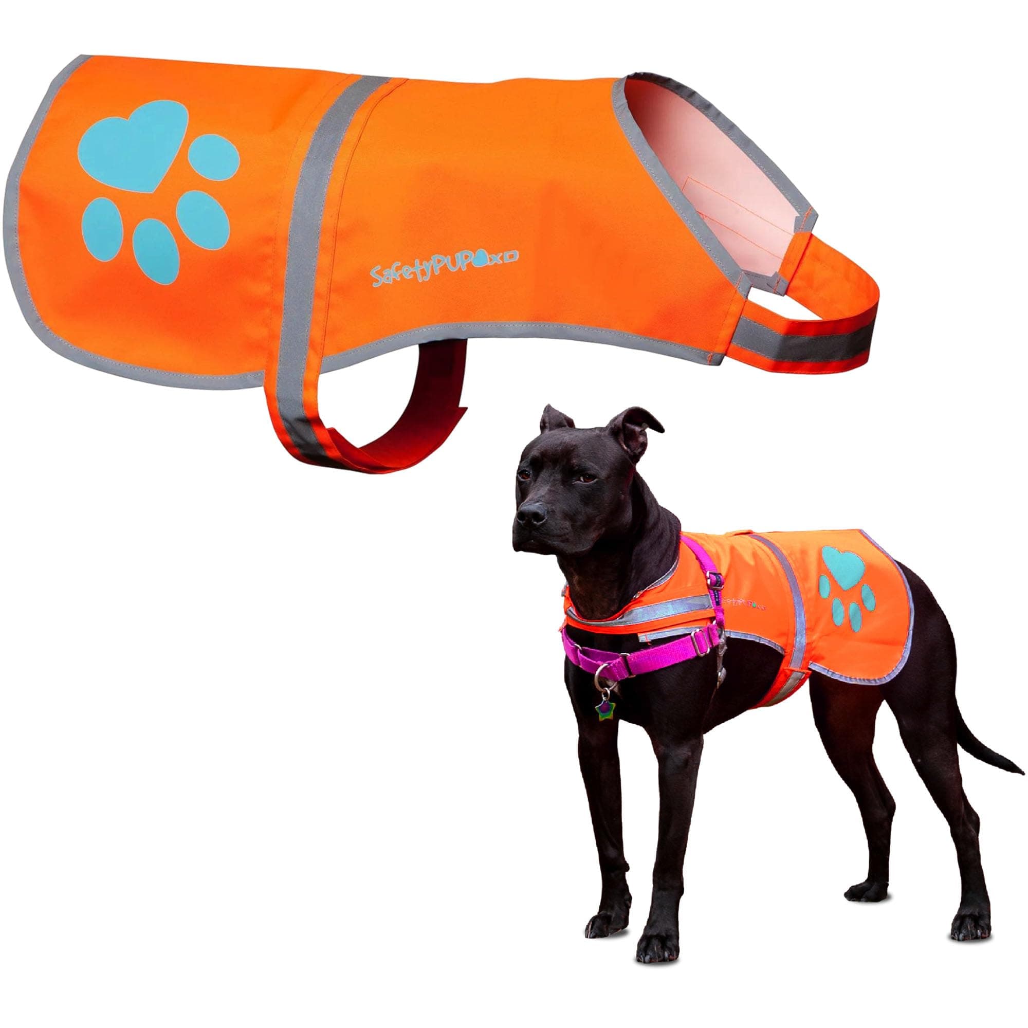 Reflective Dog Vest. Hi-Visibility, Fluorescent Blaze Orange Dog Vest Helps Protect Your Best Friend. Safeguard Your PUP from Motorists & Hunting Accidents, On or Off Leash (Large)