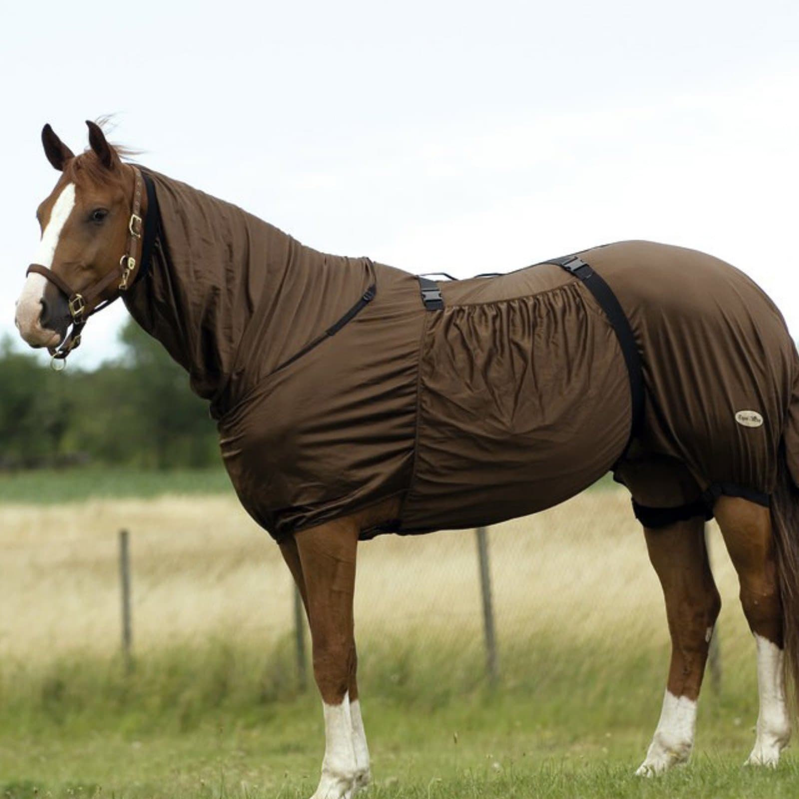 Equestrian Summer Turnout Protection Combo Sweet Itch Fly Blanket Brown 6'0