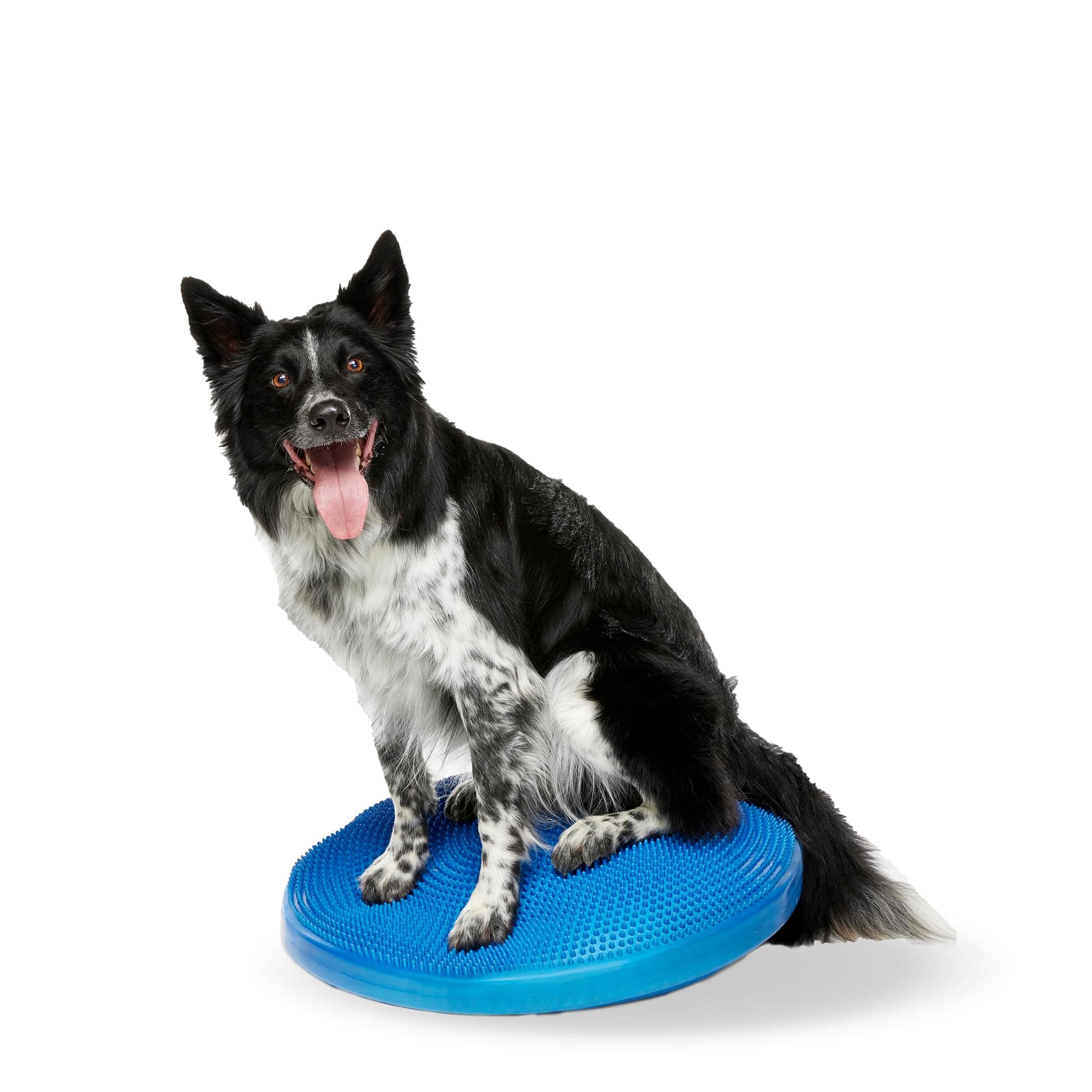 22" FitPAWS® Dog Training/Rehabilitation Balance Disc, Blue