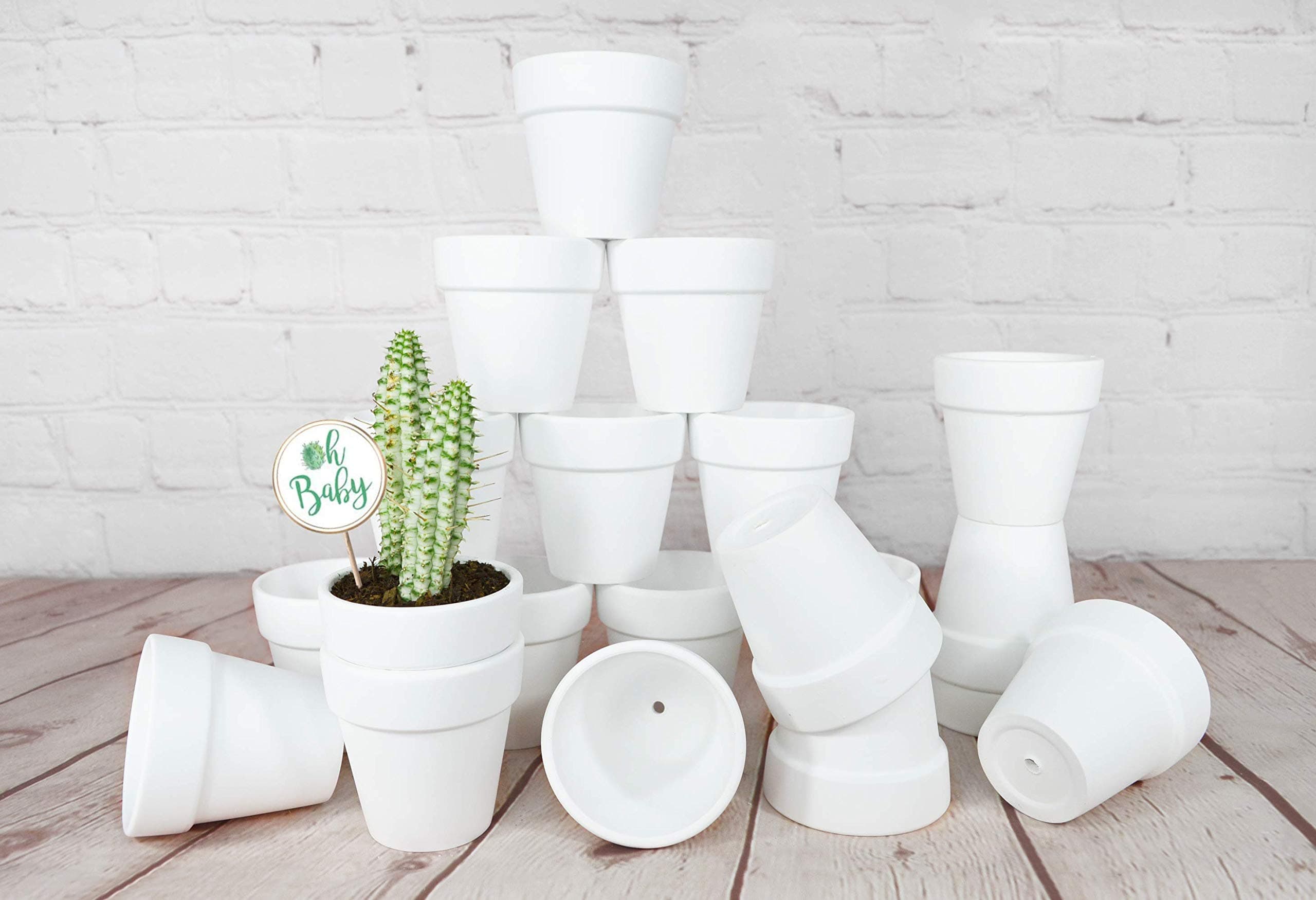 20 Pcs White Terracotta Clay Pots 2.5 Inch Small Succulent Pots Ceramic Mini Plant Pots White Terra Cotta Flower Pots for Cacti Succulents, Crafts, Wedding Favors (Matte White Bisque)