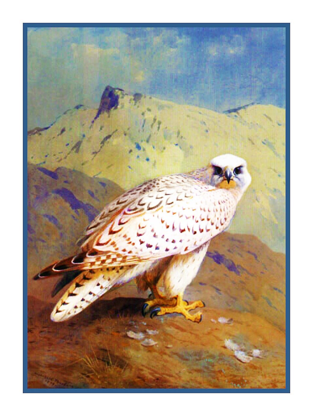 Gyr Falcon by Archibald Thorburn Bird Counted Cross Stitch Pattern