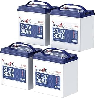 4 Pack 48V 30Ah LiFePO4 Golf Cart Batteries - Built-in 100A BMS, 2.67C Discharge, 4kW Motor Support, 4000+ Cycles, Perfect for Golf Carts & 48V Street-Legal Vehicles