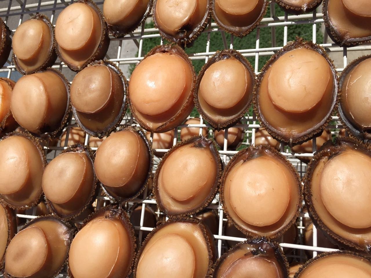 ERLIN Mexican natural sun dried Abalone 8-10pcs/lb (1 LB) big size