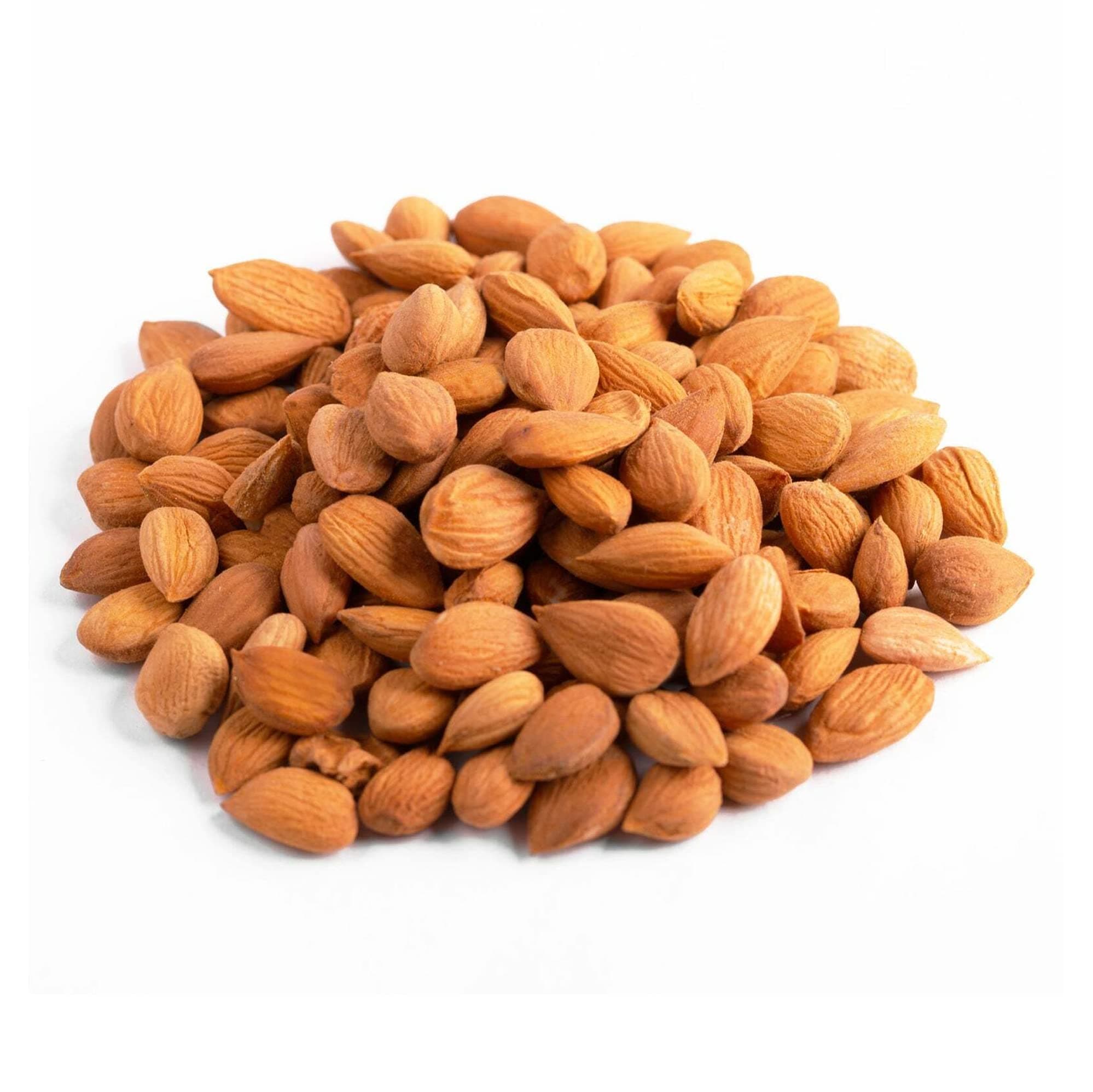 NY Spice Shop Sweet Apricot Kernels - 3 Pound Dried Sweet Raw Apricot Seeds - Sun Dried Appricot Seeds - Super Natural Dry Food - Rich Source of Vitamin & Protein