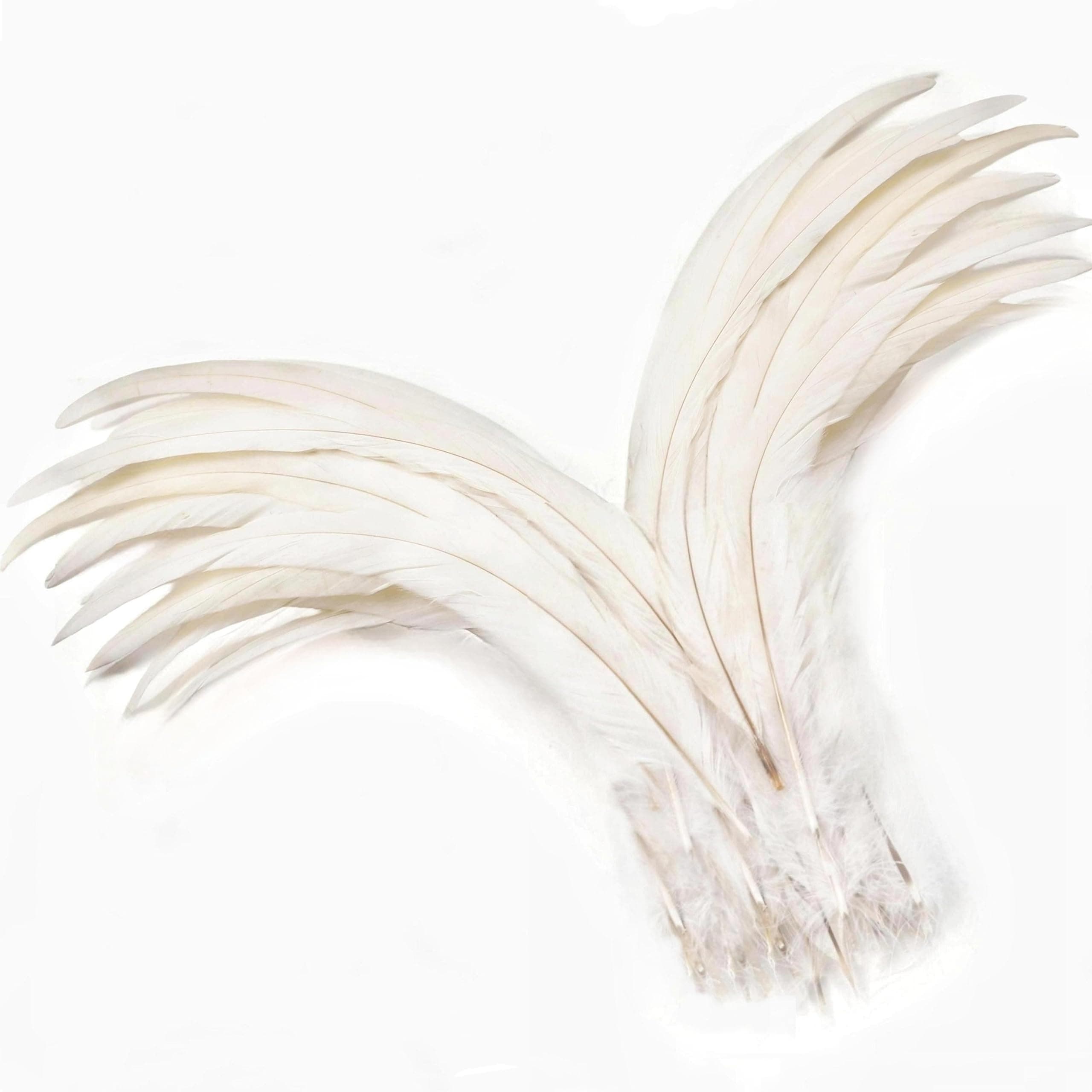 - Holmgren Off-White Rooster Tail Feathers - 60pcs 12-14inch Large Rooster Tail Feathers Bulk for DIY Crafts, Wedding Party Performances Christmas Decoration（Off White)