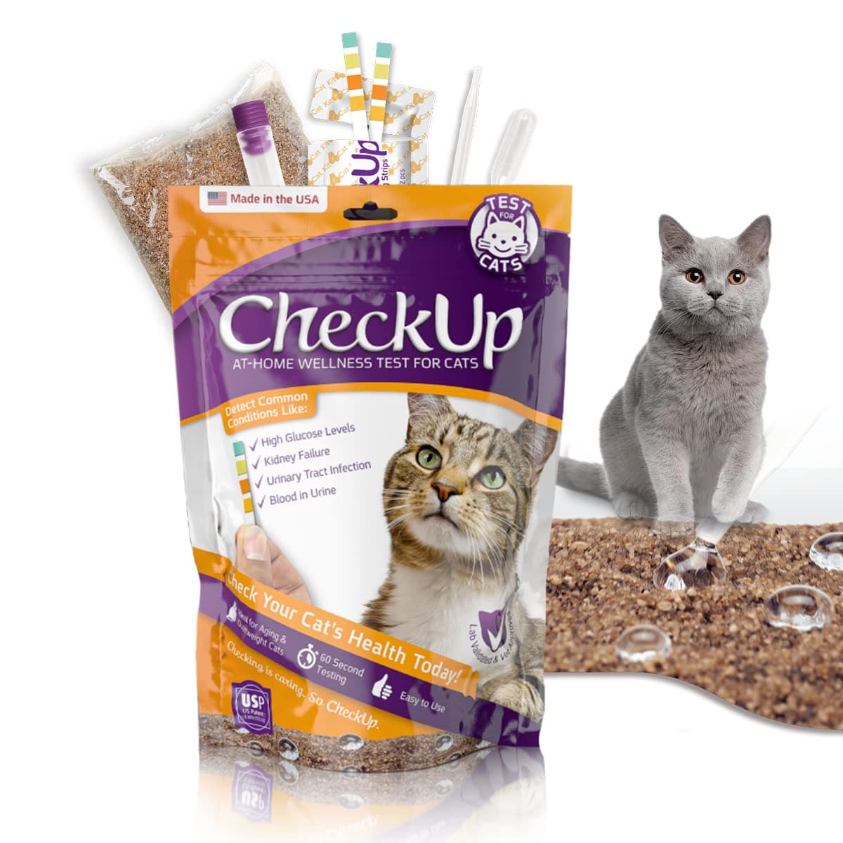 Check-up is a facility for checking the health of cats at home, collecting urine, checking whether animals have diabetes, kidney condition, urinary tract infection, and urinary blood problems