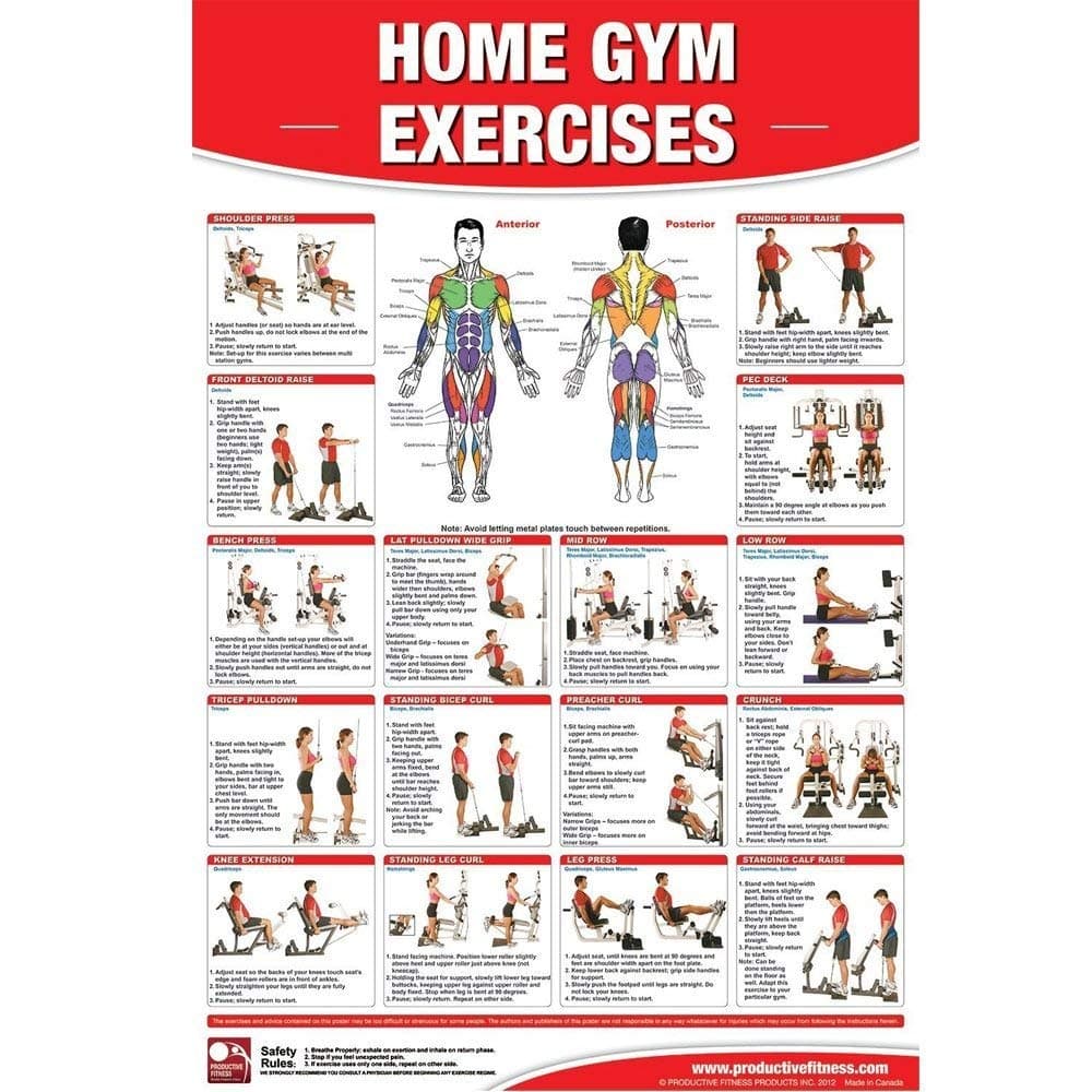 Productive Fitness Poster Home Gym Exercises - Paper