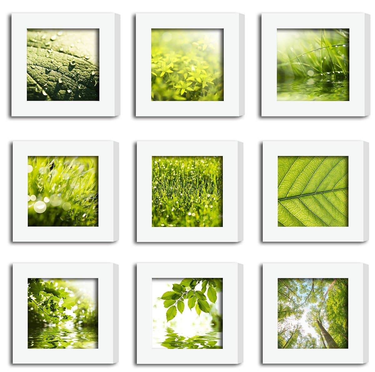 9Pcs 4x4 Real Glass Wood Frame White Square , Fit Family Image Pictures Photo (Window 3.6x3.6 inch) , Desktop Stand On Wall Family Combine Leaves Flower Green Decoration (10 Set Pictures) (19)