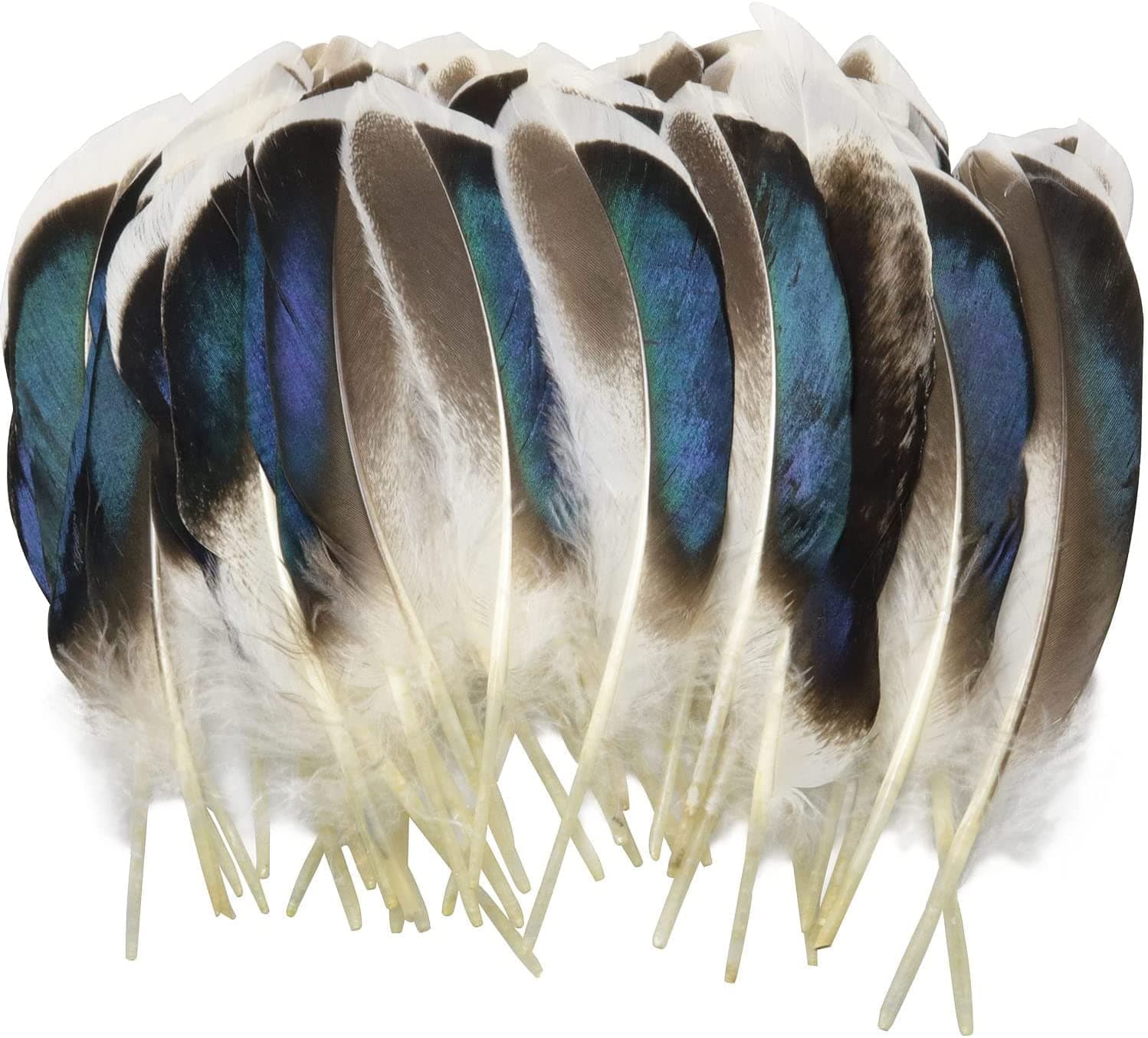 KASTWAVE150PCS Duck Feathers, Natural Feathers for DIY Craft Art, Decor Feathers for Carnival Halloween Handwork Clothing Costumes Hair Hats Crafts Home Wedding Party Decoration