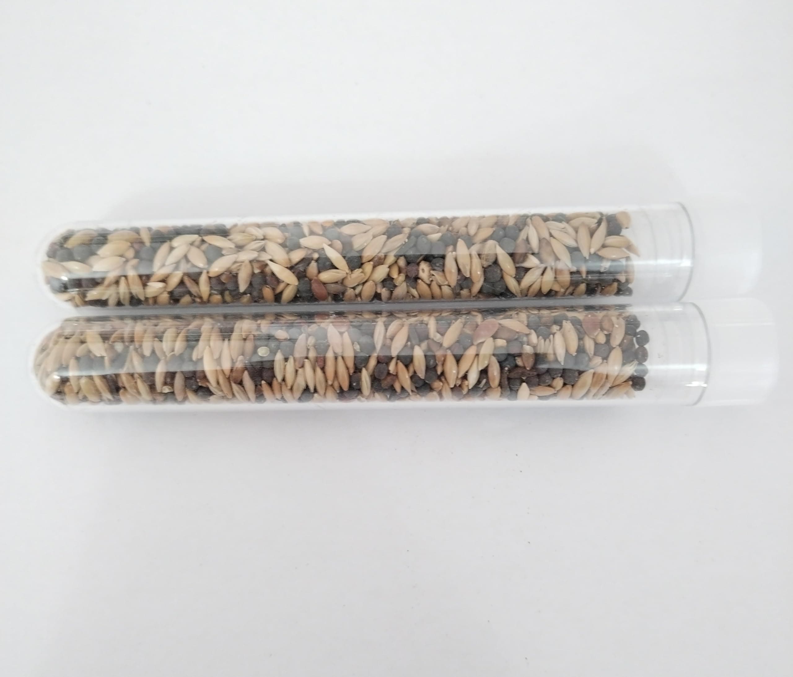 Organic Seed Mix for Harvester Ants(Twin Pack)