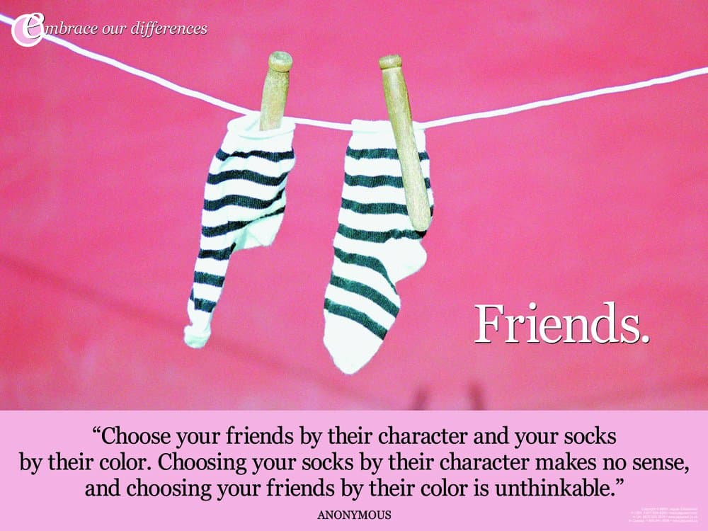 Jaguar Educational Choose Your Friends by Their Character Laminated Diversity Poster