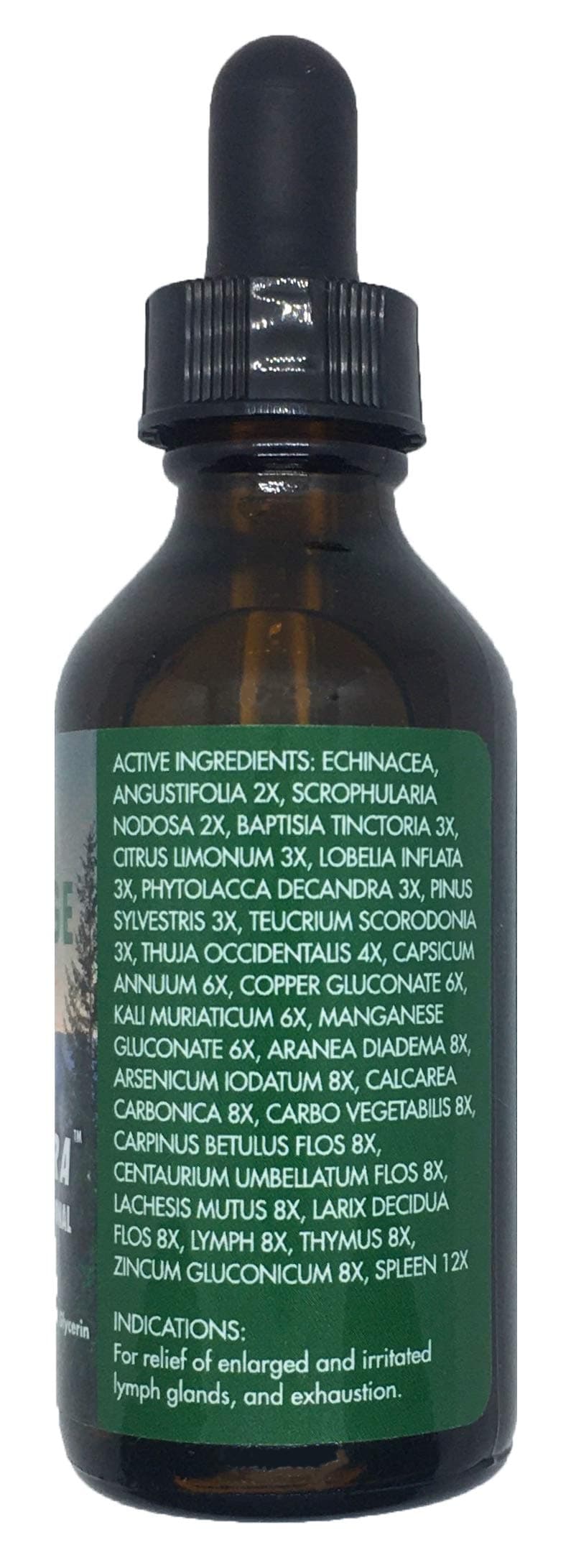 Carnivora - Lymph Drainage Drops - Stimulates and Cleanses Your Lymphatic System – Flushes Cell Waste, Boosts Energy, Combats Exhaustion. 2 Fl Oz (Pack of 1)