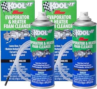 Lubegard 96030 Kool-It Evaporator and Heater Foam Cleaner (2 Pack)