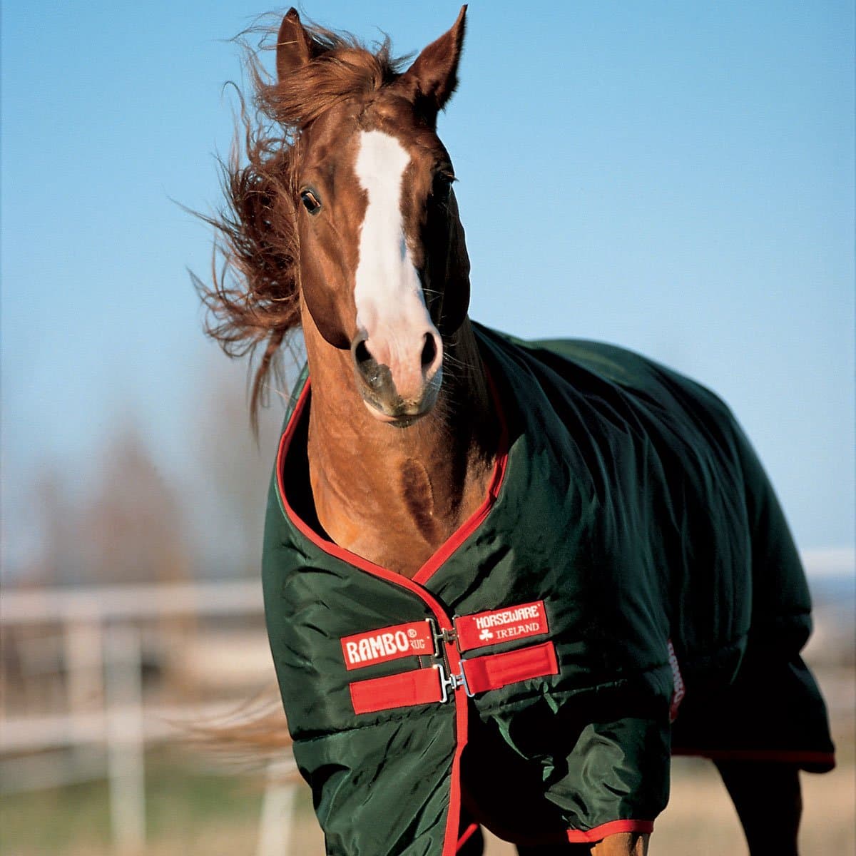 Horseware Ireland - Rambo Original Turnout 370g - Green-Red-816'9"