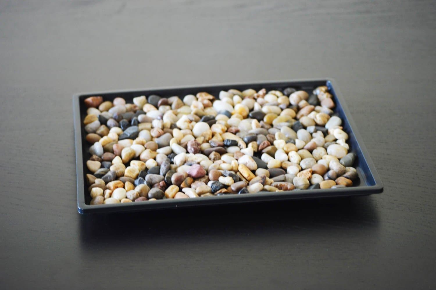 9GreenBox Bonsai Humidity Drip Tray with Pebbles Rocks, 8-Inch x 6-Inch