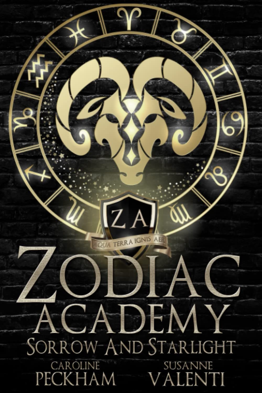 Zodiac Academy 8: Sorrow and Starlight Paperback – December 12, 2022