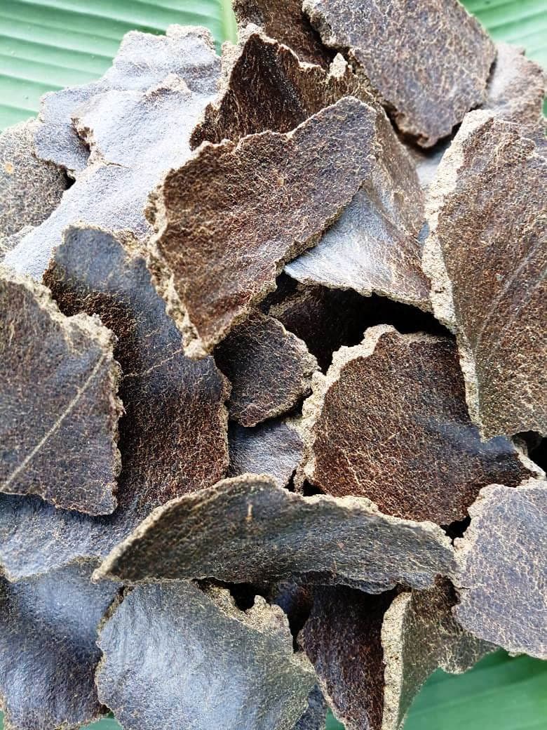 Mustard Cake for Plants/Sarso Khali Plant Fertilizers of Home Garden Plant Multi Purpose Organic Gardening Healthy Naturally Growth Plant 0.5 kg