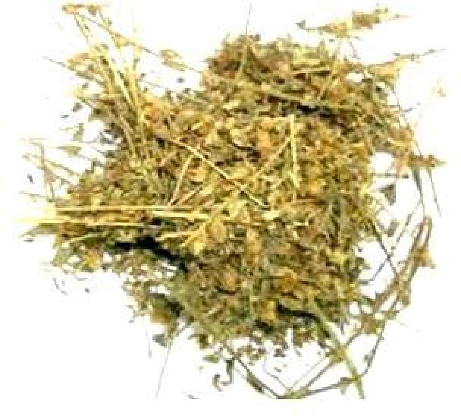 Bluenile Divesh Store® Shankhpushpi - 50 Grm - Sankhpuspi - Clitoria Ternatea - Shankh Pushpi - Shankhapushpi - Aparajita - Shanapuspi - Conovolvulus - Pluricaulis