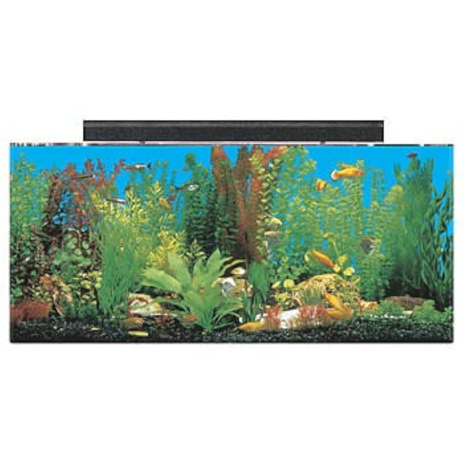SeaClear System II Aquarium Combo