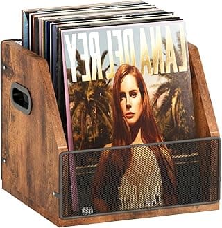 Homeiju Vinyl Record Storage, Record Box Case Crate, Vinyl Record Album Holder, Desktop Metal & Wooden LP Record Crate, Holds up to 60 Records（Patent No.D1024563