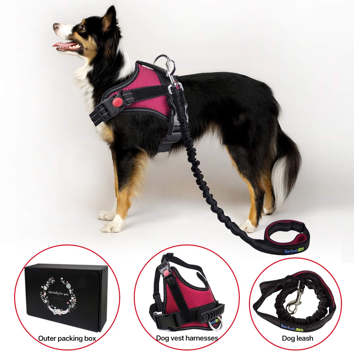 Seriud Dog Leash Vest, Adjustable Dog Vest Harnesses with Dog Leash Set,Outdoor Walking Chest Straps,Dog Leash Harness with Reflective Ribbon Dog Leash,Restraint Lead for M-XL Dogs (Medium, Red)