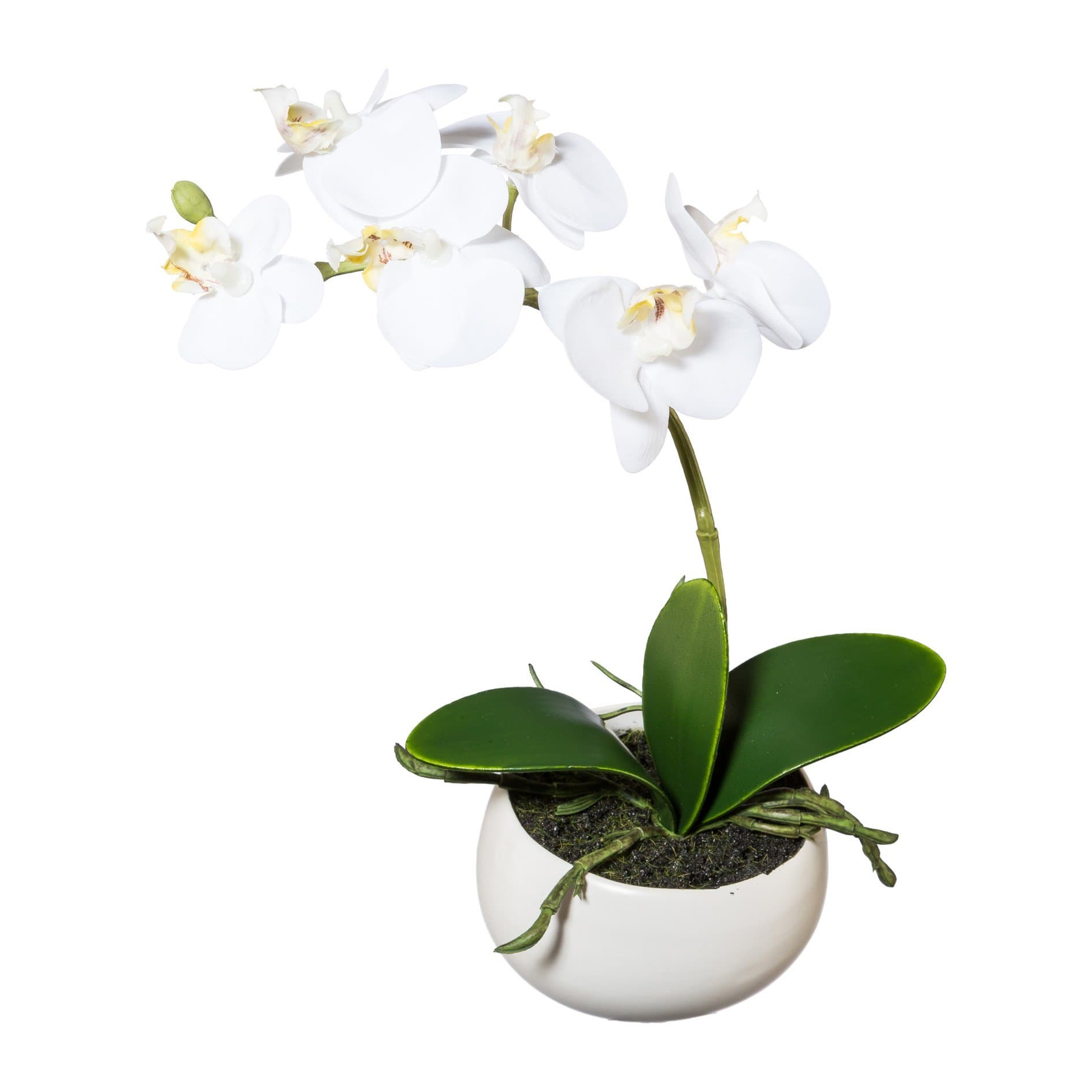 Deutschmade Artificial Flower, White Orchid Phalaenopsis Including White Ceramic Vase, 9"