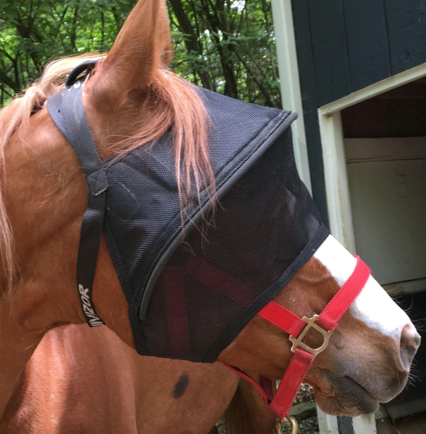 EquiVizor Solar Vizor Horse Fly Mask (Size Full), Superior UV Eye Protection to 99% for Horses with Uveitis, Photosensitivity, Ulcer, Head Shaking