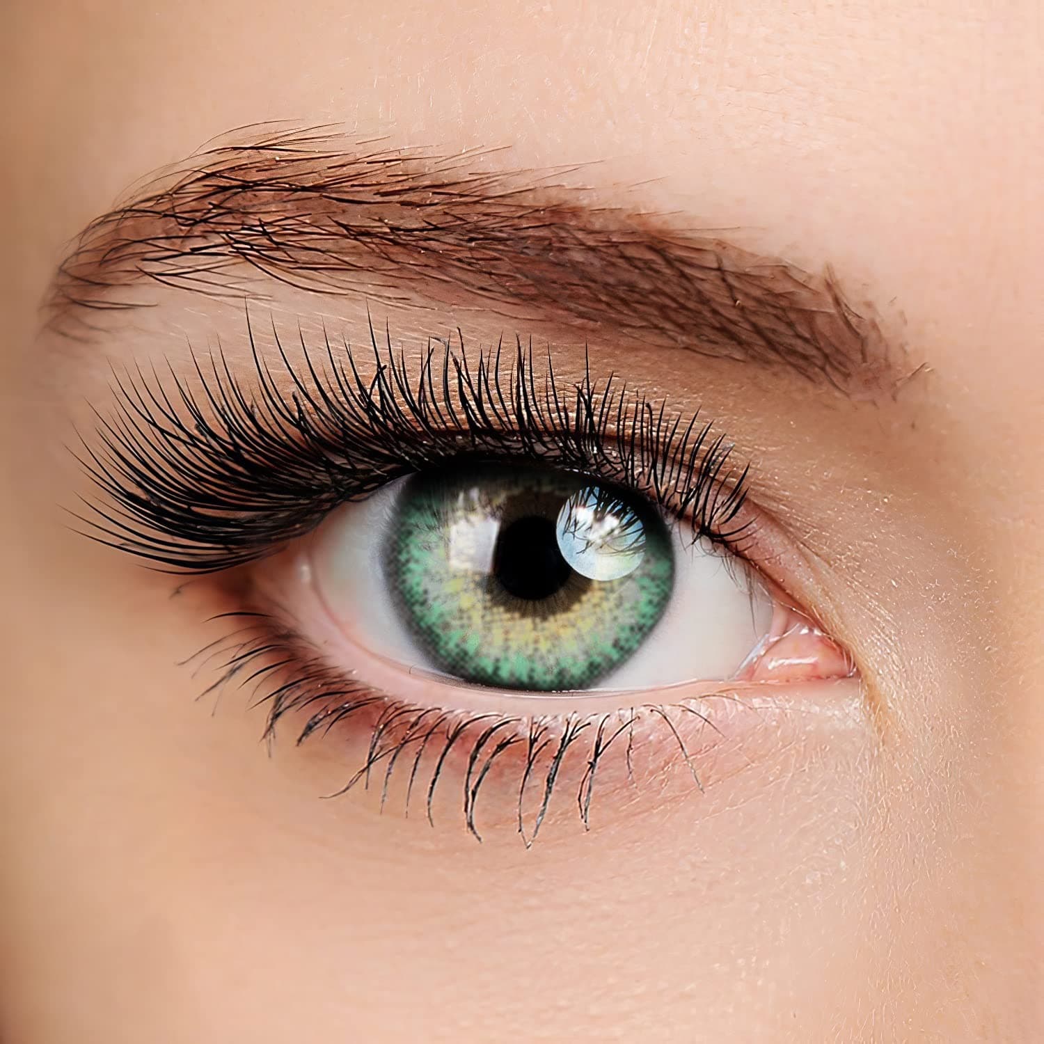 Colored Contact Organizer Case Storage with Set, Bseries Tuiquoise Green