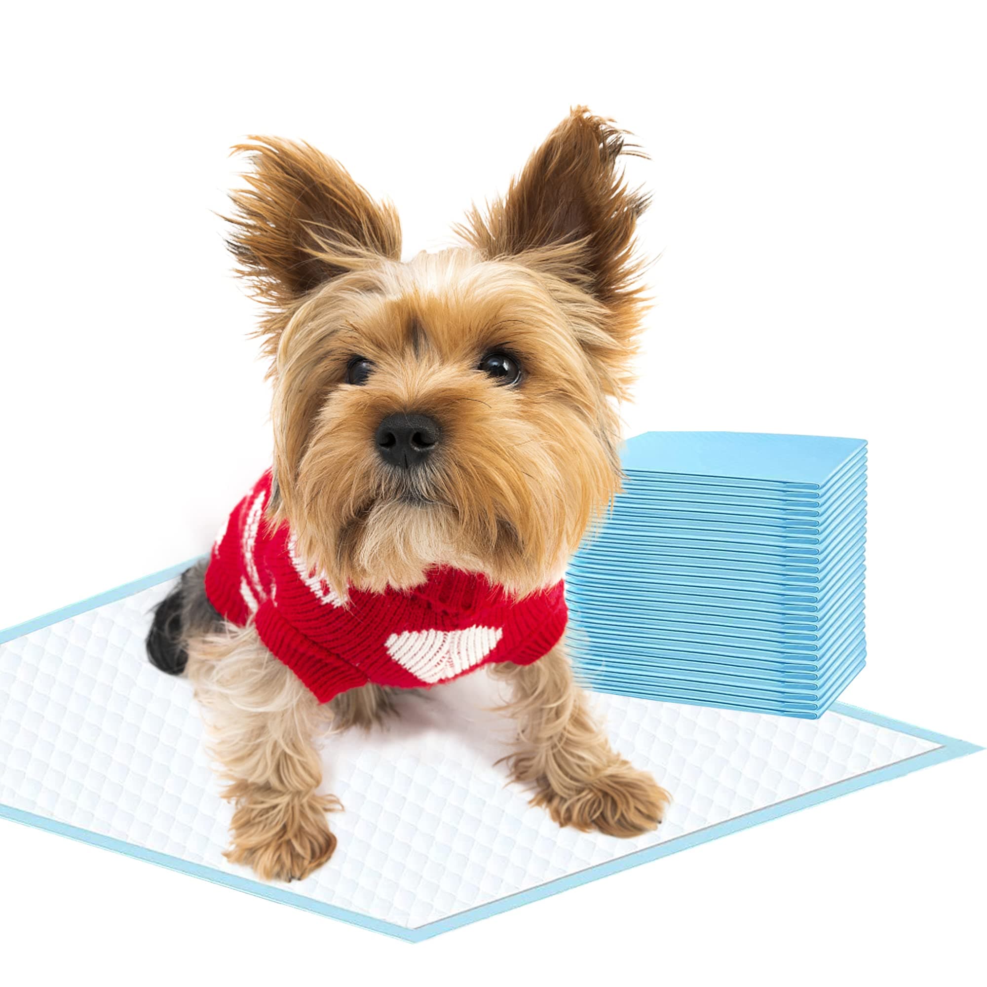 Dog Training Pads, Leak-Proof 6-Layer Puppy Potty Pads with Quick-Dry Surface - Small Size 13x18 Inch