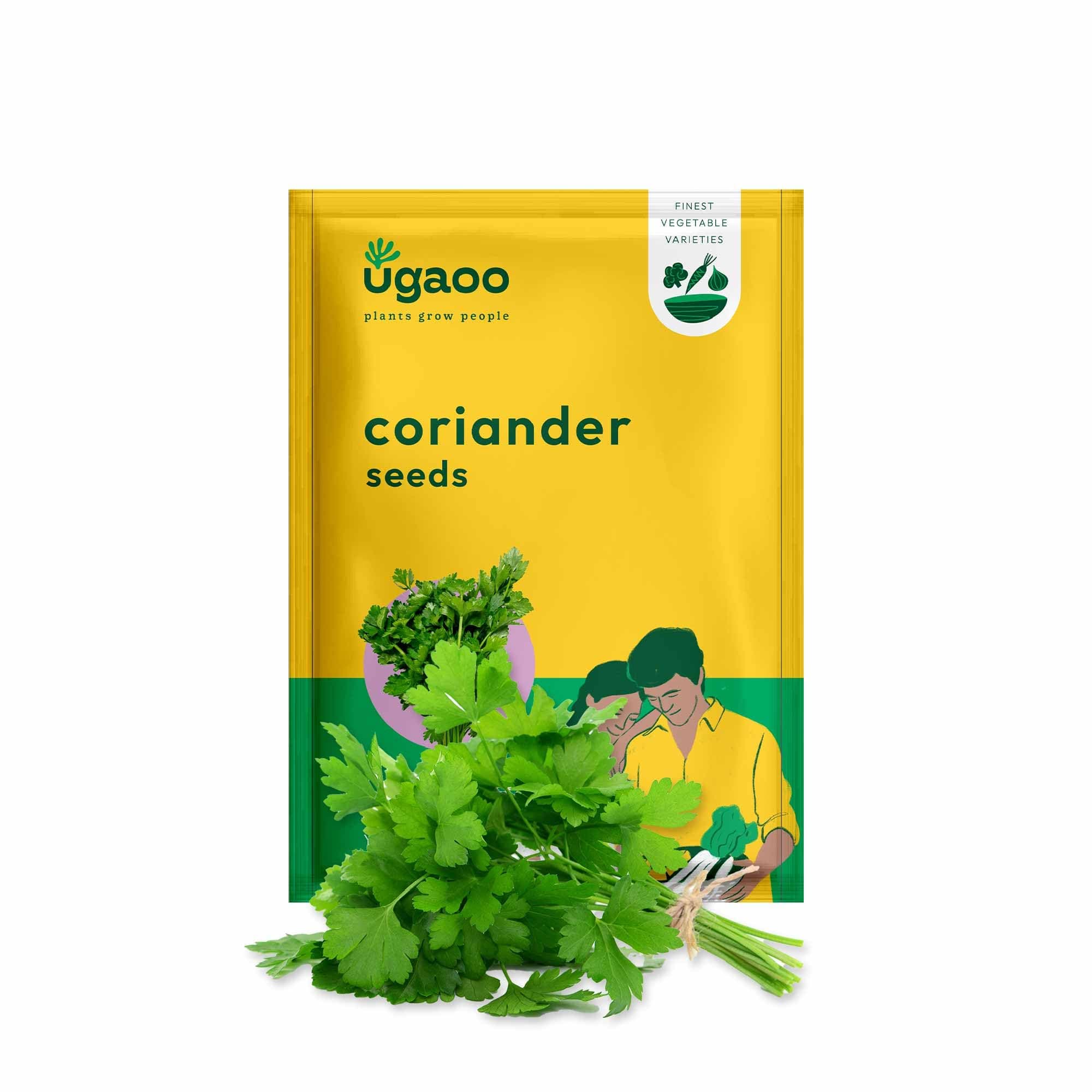 UGAOO Coriander Vegetable Seeds (Green, Pack of 6g)