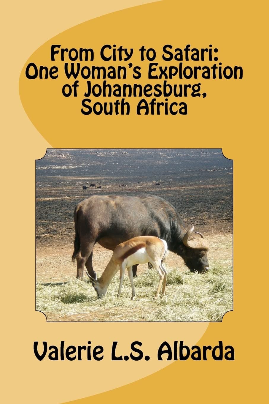 From City to Safari: One Woman's Exploration of Johannesburg, South Africa Paperback – December 8, 2011