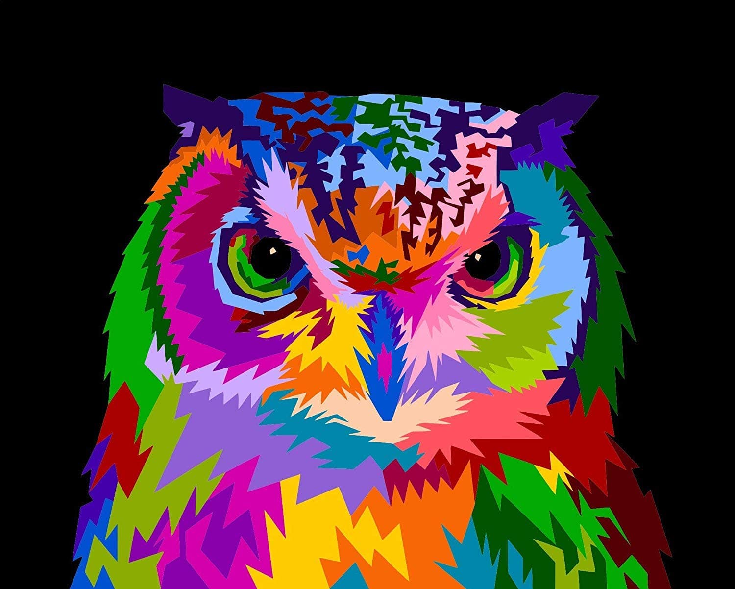 BANLANA Paint by Numbers for Kids & Adults, DIY Adult Paint by Number Kits for Beginners on Canvas Rolled 16" by 20" Unframed (Colorful Owl)