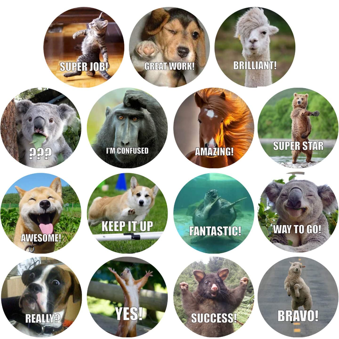 300 Pack Reward Stickers for Teachers. Fun Motivational & Incentive Stickers for Kids. Trendy Animal Meme Stickers for All Ages and All Classes.