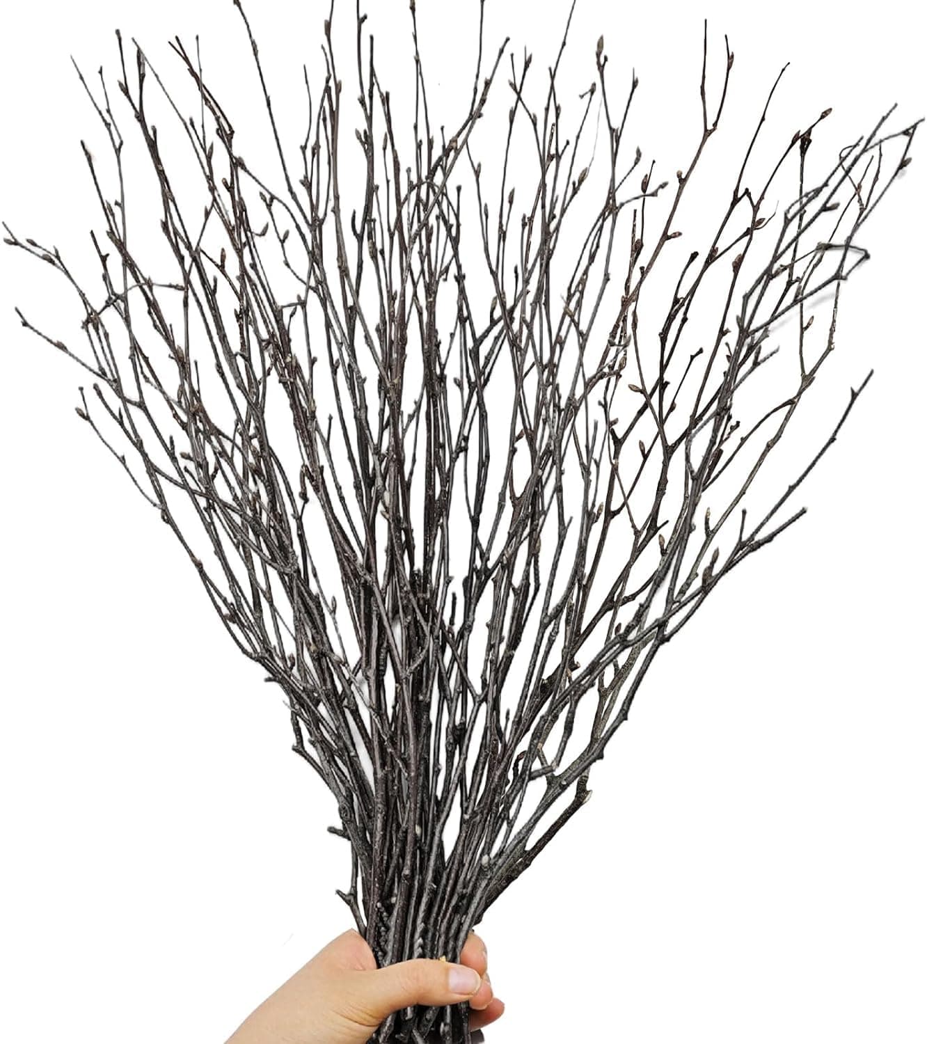 30Pcs Dried Birch Twigs Curly Willow Branches - 17” Natural Decorative Birch Branches for Easter Vases, Willow Branches for DIY, Floral Arrangement, Twig Wreath, Centerpiece, Rustic Home Decor