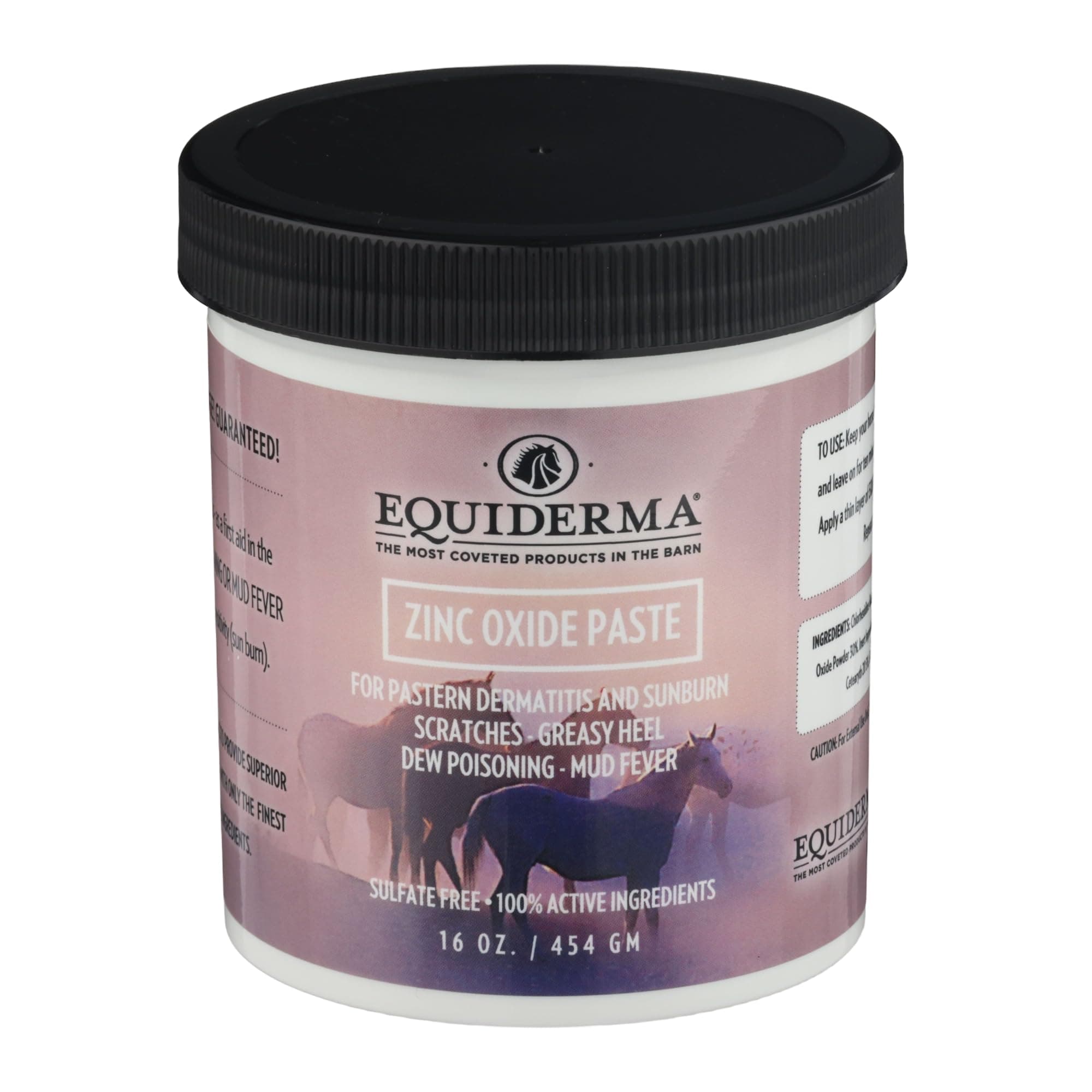 EQUIDERMA Zinc Oxide Paste for Horses, Ointment for Horse Skin Conditions, 16 Oz.