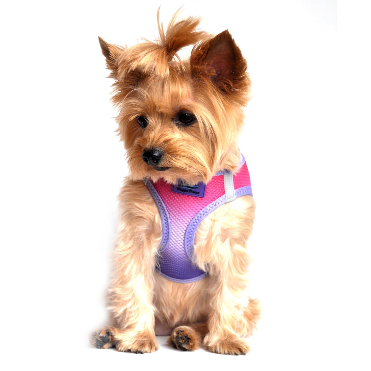 Doggie Design Dog Harness - No Choke Dog Harness, Dog Vest, Mesh Polyester, Pet Harness, Simple Step in and Go Design, Harness for Dog - Raspberry Sundae, XXS