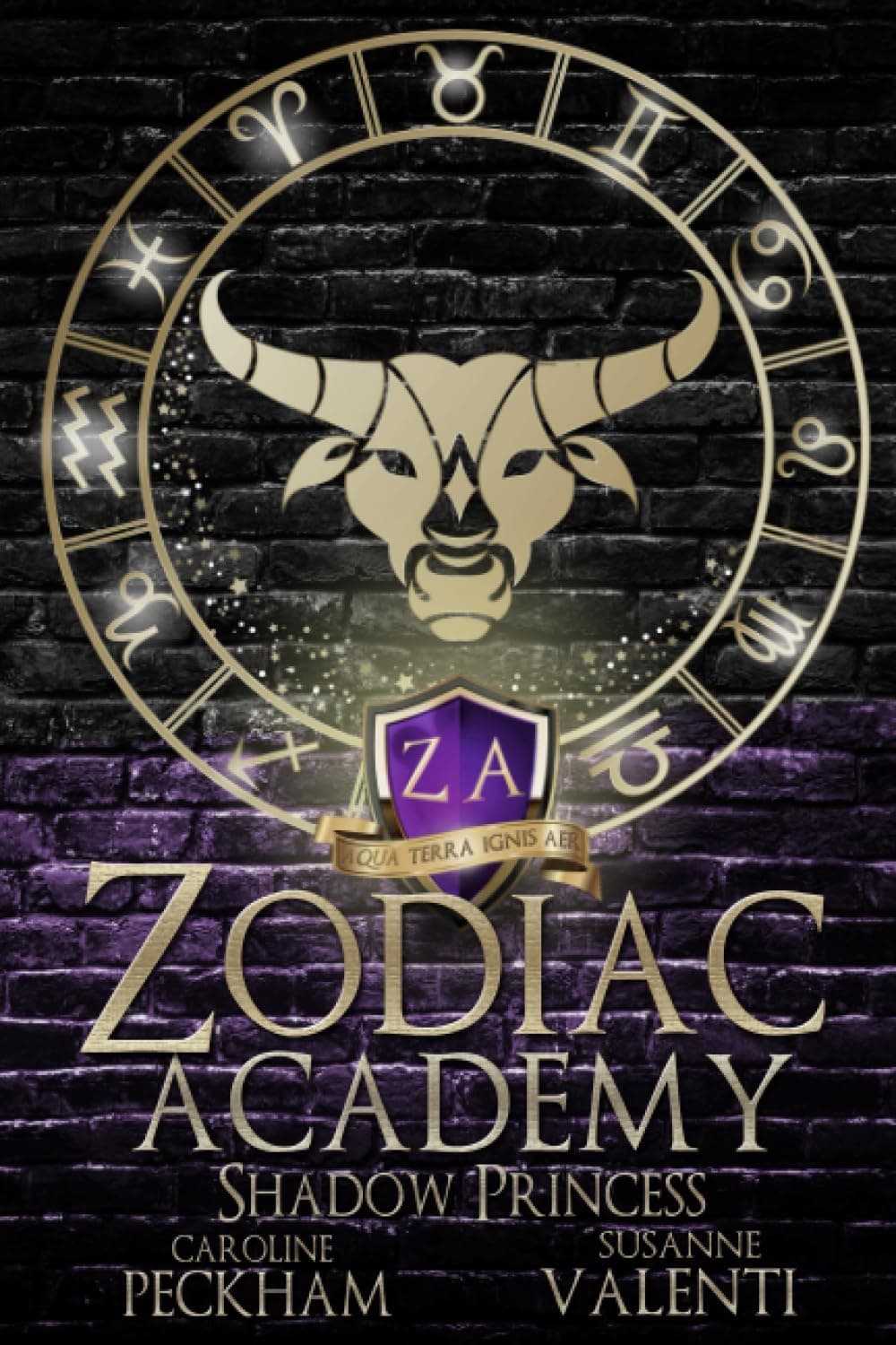 Zodiac Academy 4: Shadow Princess Paperback – November 2, 2021