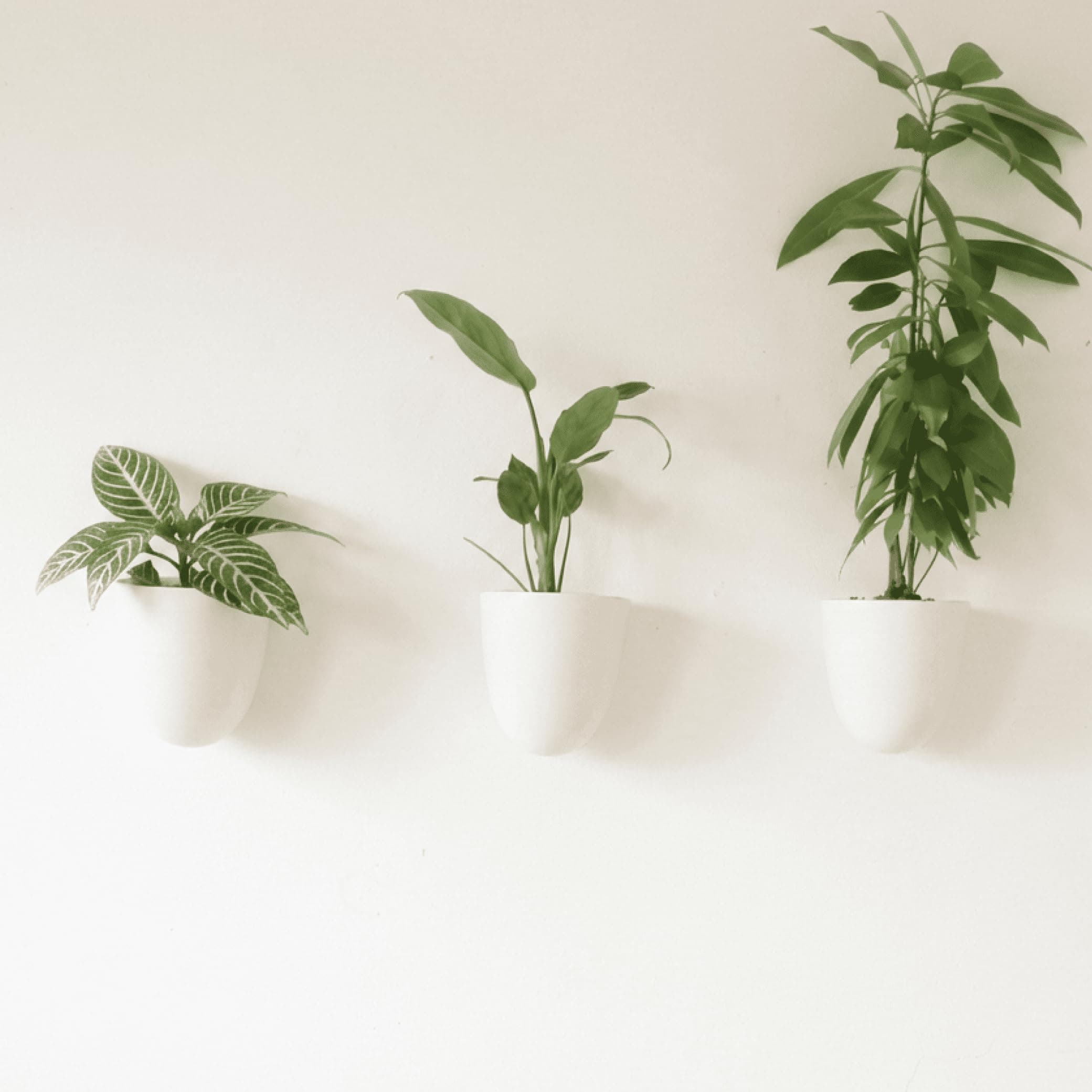 Make Good PlantPod Luxe Self-Watering Wall Planters (Set of 3) - Easy to Water and Install - Lightweight - Design Your Own Vertical Garden - Wall Planters for Indoor Plants